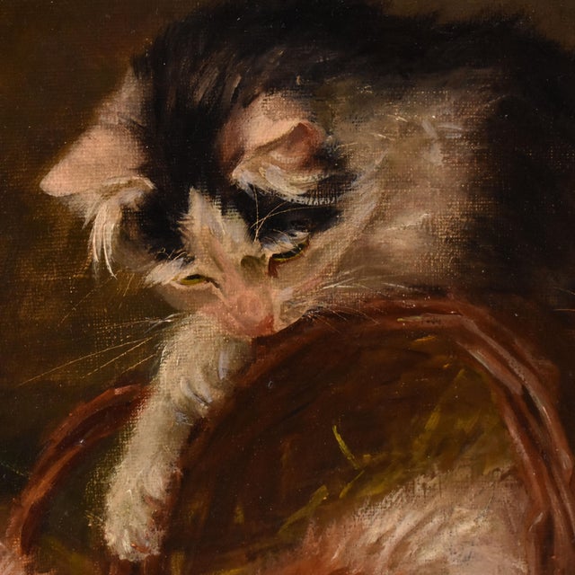 Jane Dhazon De Saint-Firmin, Three Playing Cats, Oil on Canvas, Late 19th Century For Sale - Image 5 of 11