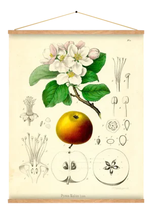 Apple Blossoms Wall Hanging