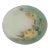 Thomas Bavaria Porcelain Hand Painted Green and Yellow Flowers Small Plate For Sale