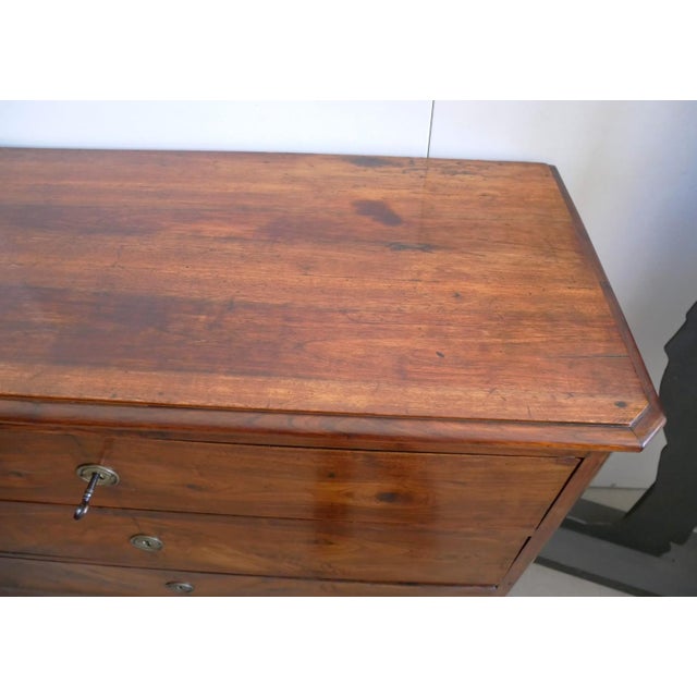 Brown Antique Walnut Chest of Drawers. 1900s For Sale - Image 8 of 18