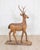 Italian 20th Century Life-Size Walnut Deer Sculpture For Sale - Image 10 of 12