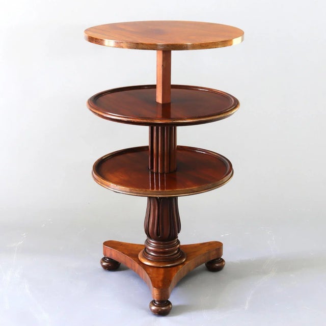 William IV Metamorphic Mahogany Coffee Table or Three-Tier Dumbwaiter, 1835 For Sale - Image 10 of 10