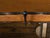 American Midcentury Metal and Wood Two-Tiered Shelving Unit with Twisted Motifs For Sale - Image 4 of 12