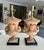 Pair of French terracotta neoclassic style urns converted into table lamps. The urns are decorated with 2 handle rams...