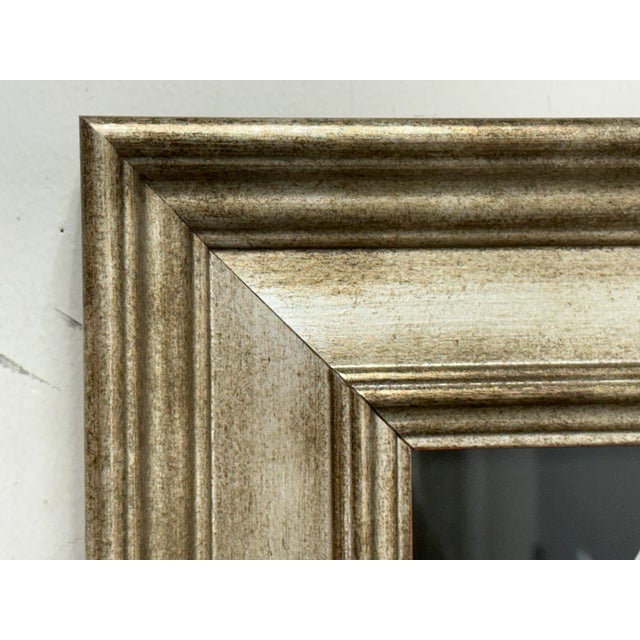 Eugenia Rendon De Olazabal Espinas Series Cactus Dark Aesthetic Photograph, Framed For Sale - Image 4 of 12