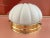 1970s Frosted Glass Scallop Shell Wall Lights - Set of Three For Sale - Image 17 of 18