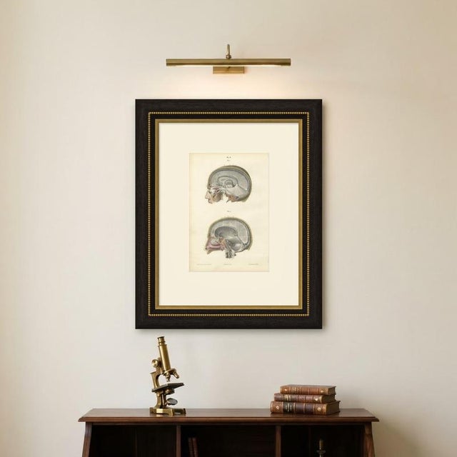 Hirschfeld and Leveille, Median Sagittal Sections of the Head, 1866, Paper For Sale - Image 6 of 8