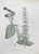 Lithograph hand watercolored. Belongs to the Series "Atlante di Botanica popolare ossia Illustrazione di Piante Notevoli...