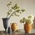 Crabapple Branches 45" St/2 For Sale In Chicago - Image 6 of 10