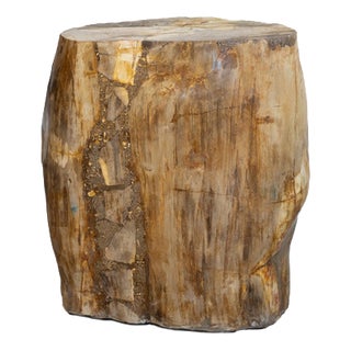 Petrified Wood Side Table, 1970s For Sale