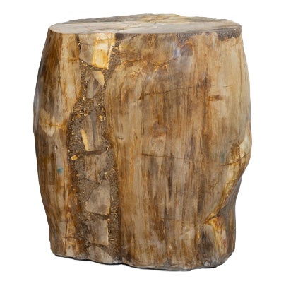 Petrified Wood Side Table, 1970s For Sale