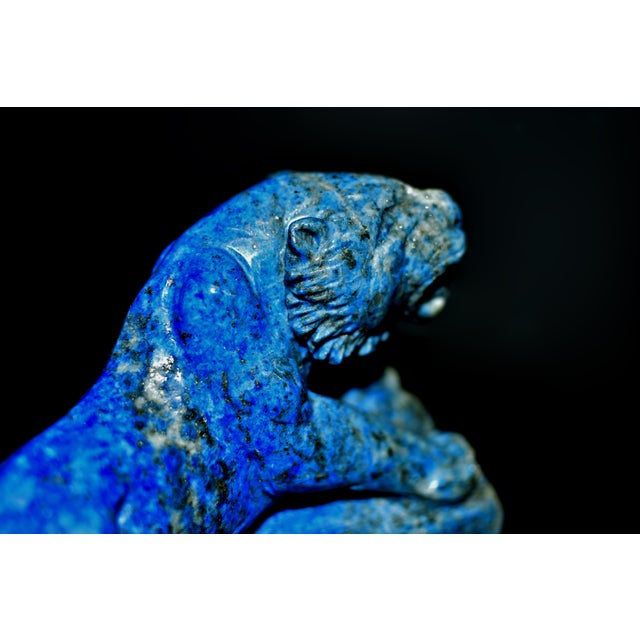 Blue Natural Lapis Tiger Statue With Golden Pyrite Paperweight For Sale - Image 8 of 11