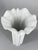 Ceramic Large Porcelain Floor Vase Tavola Argos by Hutschenreuther, 1990s For Sale - Image 7 of 14