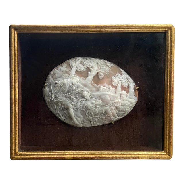 19th Century Cameo Shell For Sale