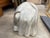 19th Century Italian Plaster Bust For Sale - Image 9 of 10