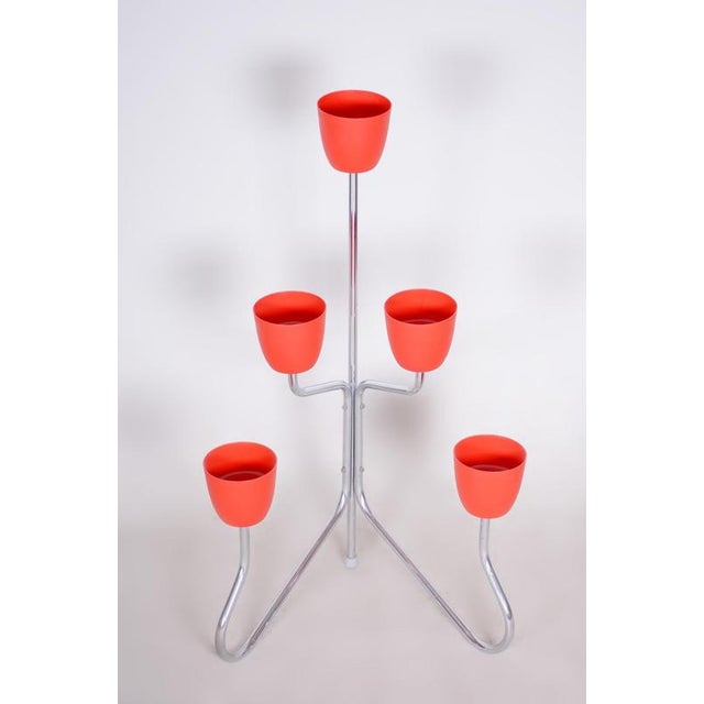 Paint Czech Bauhaus Plant Stand in Chrome-Plated Steel, 1950s For Sale - Image 7 of 8