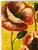 Contemporary Floral Painting – Bold Red Poppies on Yellow Background For Sale - Image 4 of 5