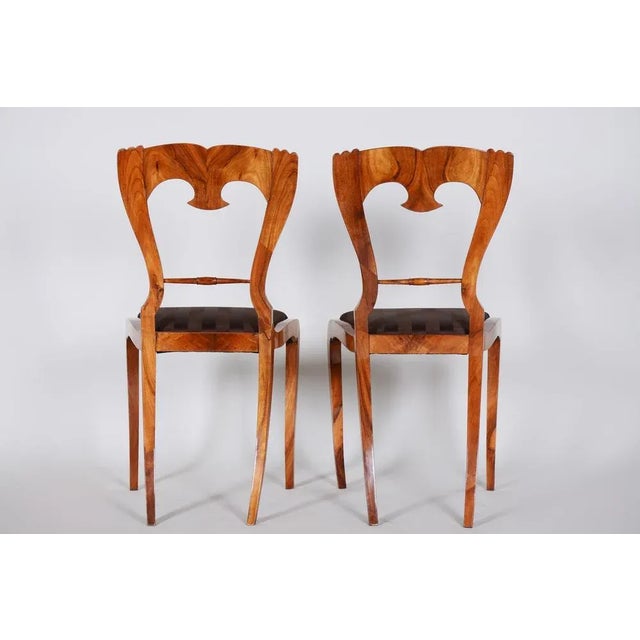 Biedermeier Chairs in Walnut, Czech, 1840s, Set of 4 For Sale - Image 3 of 7