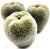1950s Set of 3 Mid-Century Giant Faux Sugared Green Apples For Sale - Image 5 of 5