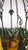 Green French Wrought Iron Glass Chandelier, 1990s For Sale - Image 8 of 15