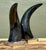 Black Vintage Natural Horns on Chrome Plinths - Set of 2 For Sale - Image 8 of 12