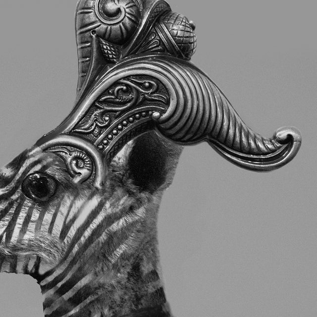 Beatriz Moreno, Kangouzèbra, The Sentinels of Tellus Series, Photo Print For Sale - Image 6 of 8