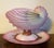 Antique 19th century Wedgwood pink pearlware nautilus sea shell compote or tureen and clam shell under tray. Stand...