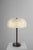 Hana MD Table Lamp in Borosilicate Glass and Brass Finish by Schwung For Sale - Image 14 of 18