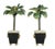 Bring a bold dose of Palm Beach glamour to your space with this striking pair of Italian Hollywood Regency tole palm tree...