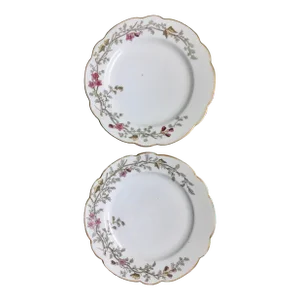 Antique Hand-Painted Floral Pattern Dinner Plates- a Pair