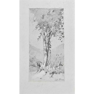 Carlo Ferrari, The Big Tree, 1899, Pencil For Sale