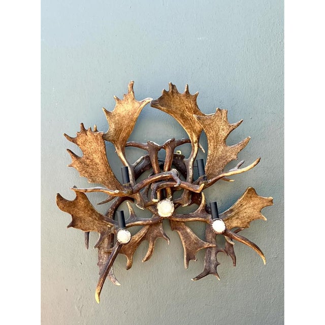 This vintage monumental antler and metal wall sconce is a dramatic celebration of naturally shed fallow deer antlers,...