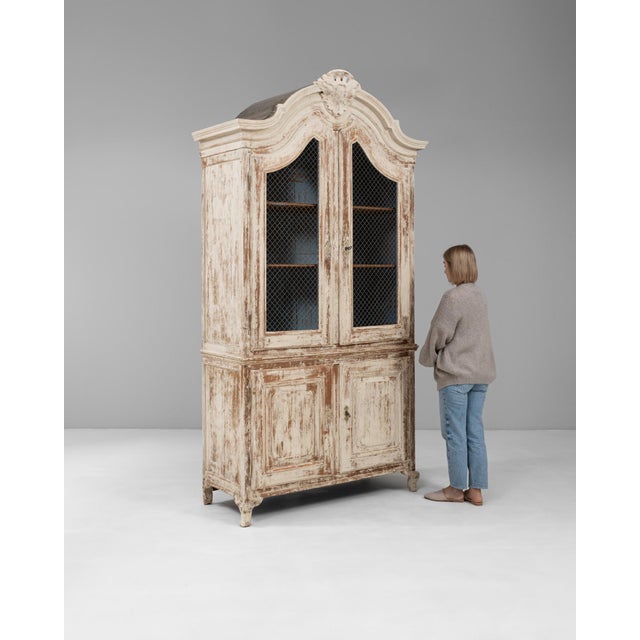 19th Century 19th Century French Louis XV Wood Patinated Cabinet with Wire Doors For Sale - Image 5 of 18