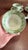 Farmhouse 1940s Wood's "English Scenery" Green Transfer Cups and Saucers - Set of Four Enoch For Sale - Image 3 of 12