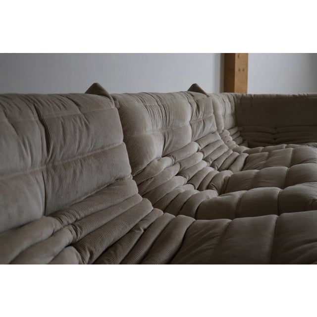 Amazing early ligne roset togo sofa set in beige corduroy by michel ducaroy, 1970s. this iconic design has become more and...