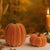 Create a cozy, layered fall display with this Velvet Pumpkin Accent Set, featuring two beautifully sculpted pumpkins in...