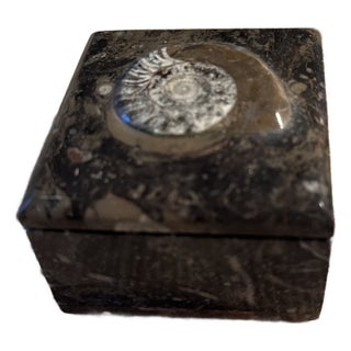 Ammonite Spiral Stone Box Rectangular For Sale