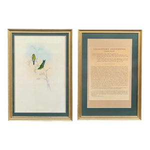 Pair of Framed 19th Century John Gould Hummingbird Hand Colored Lithograph & Text Leaf