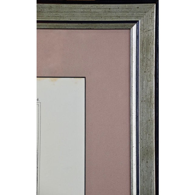 Mid 19th Century Honoré Daumier A Rare 19th Century Honore Daumier Caricature from the "Types Parisiens" Series, 1840 For Sale - Image 5 of 6