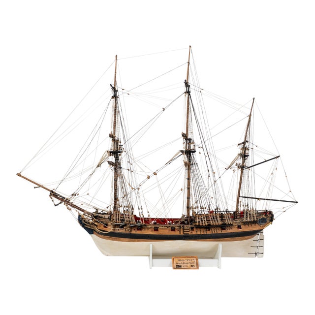 Italian Amati HMS Fly Ship Model, Hand-Assembled, 1:64 Scale, Restored For Sale