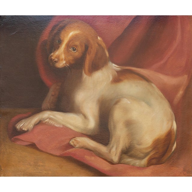 Late 19th Century American 1890s Framed Oil on Board Painting Depicting a Dog Lying on a Red Drape For Sale - Image 5 of 12