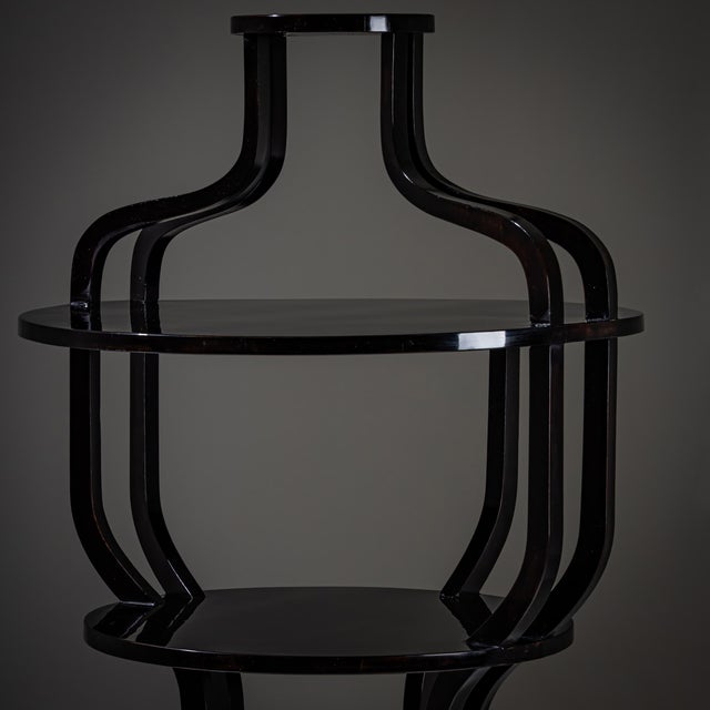 Wood Ebonized Étagère, Vienna, Austria, Early 19th Century For Sale - Image 7 of 11