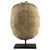 Oligocene Turtle Fossil, South Dakota This exceptional mounted turtle fossil originates from the Oligocene period...