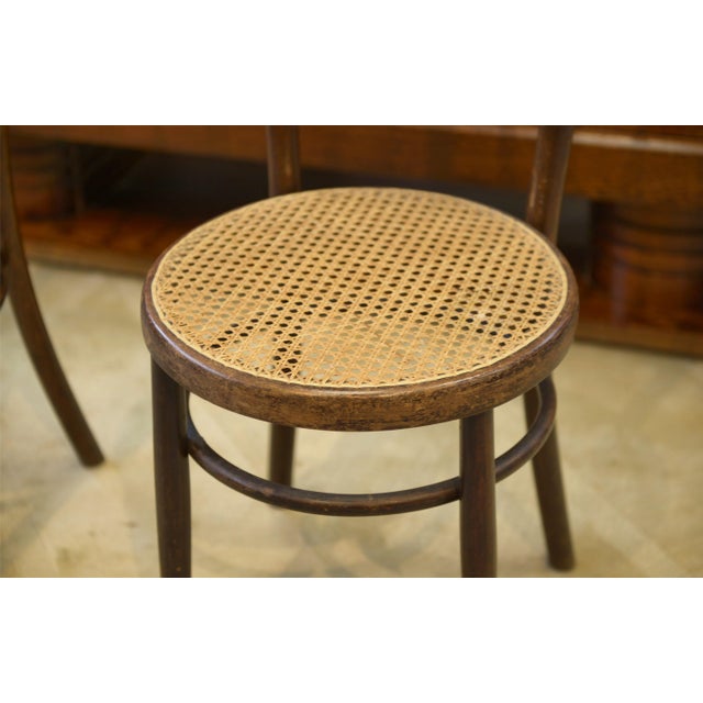 Bentwood Bistro Chairs from Fischel, 1930s, Set of 2 For Sale - Image 3 of 7