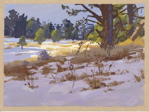 003 - Plein Air-O'Fallon Park, CO, 1/12/22 by Judd Mercer | Gouache Landscape of a snowy park scene