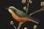 Stunning Bamboo Form Hand Painted Bird Motif Coffee Table For Sale In Philadelphia - Image 6 of 18