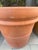 Large Vintage Italian Terracotta Garden Planter With Rolled Rim, Tuscany For Sale - Image 4 of 12