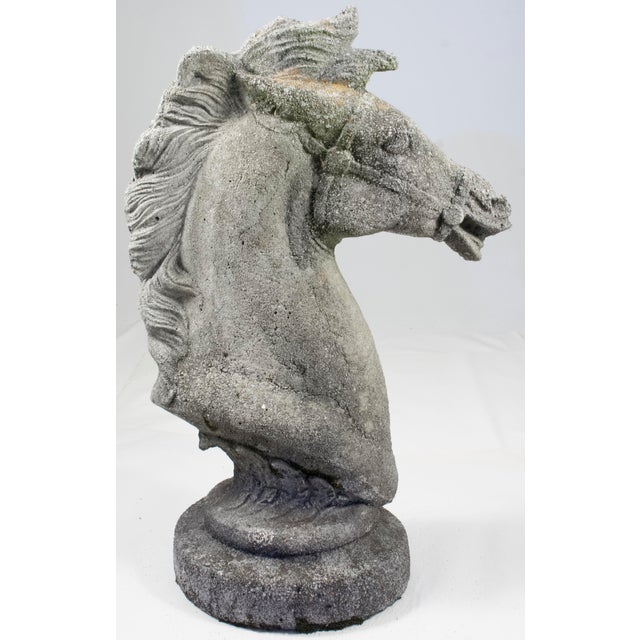 1960s 1960s Immense Vintage Cast Cement, Concrete Horse Head Sculpture For Sale - Image 5 of 14
