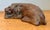 Early 20th Century Vintage Hand Carved Lion For Sale - Image 5 of 12