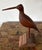 Mid-Century Modern Vintage Hand Carved Wood Shorebird, Folk Art For Sale - Image 3 of 6